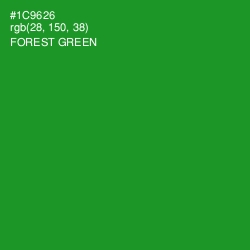 #1C9626 - Forest Green Color Image